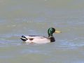 P4024790_1200WP.jpg
