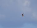 P4025030_1200WP.jpg