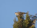 P4025084_1200WP.jpg