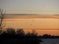 P4025147_1200WP.jpg