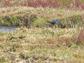 _A041221_WP.jpg