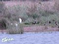 IMG_9990_WP.jpg