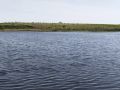 IMG_20240405_185754_WP.jpg