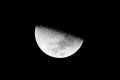 52_Luna nocturna.jpg