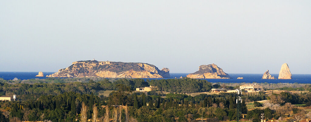 Islas Medas
