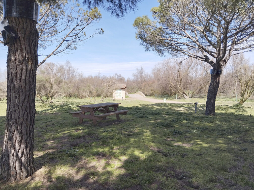 Área de picnic