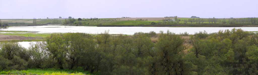 Panorámica del lecho del río Cigüela