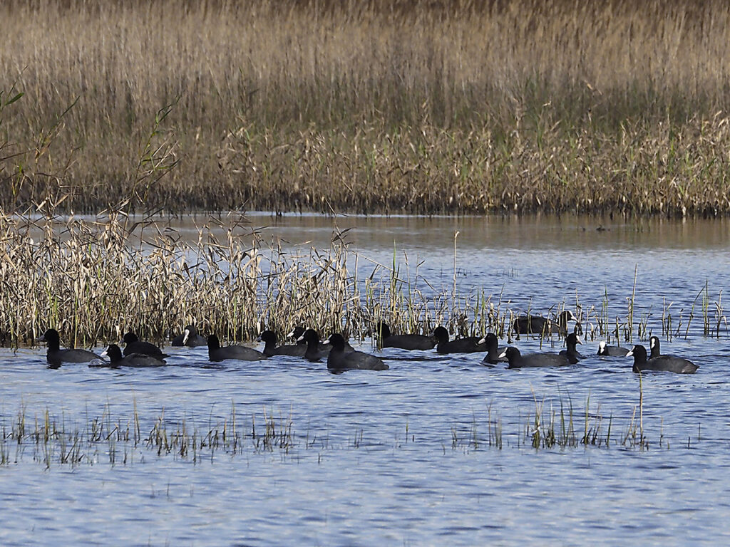 Unas fochas en grupito...